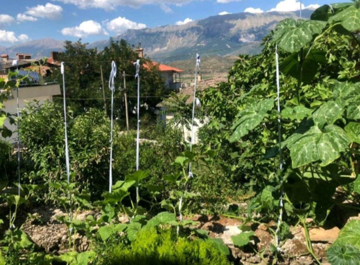 Miziriguesthouse Gjirokaster Bagian luar foto